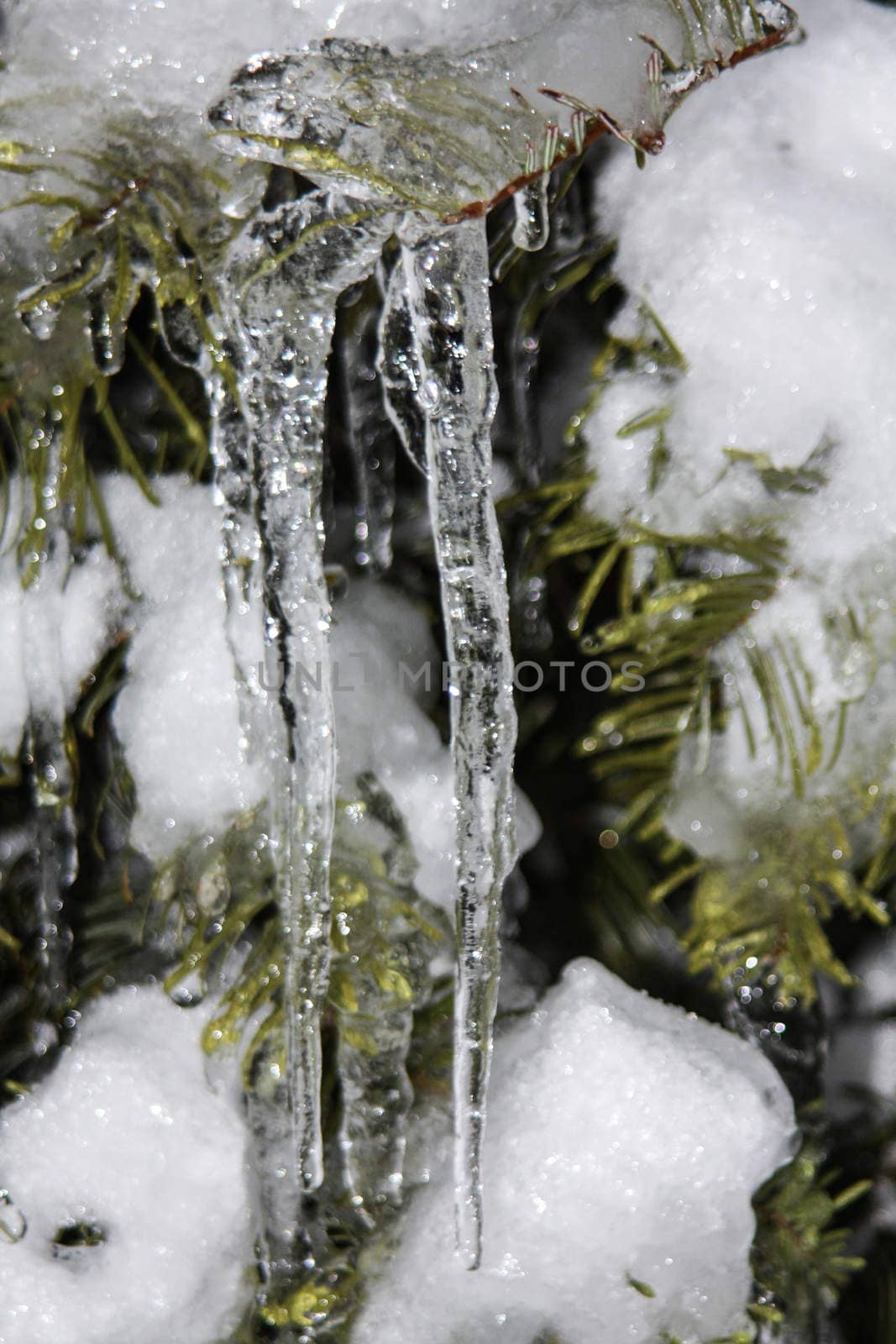 Icicles on a Christmas tree