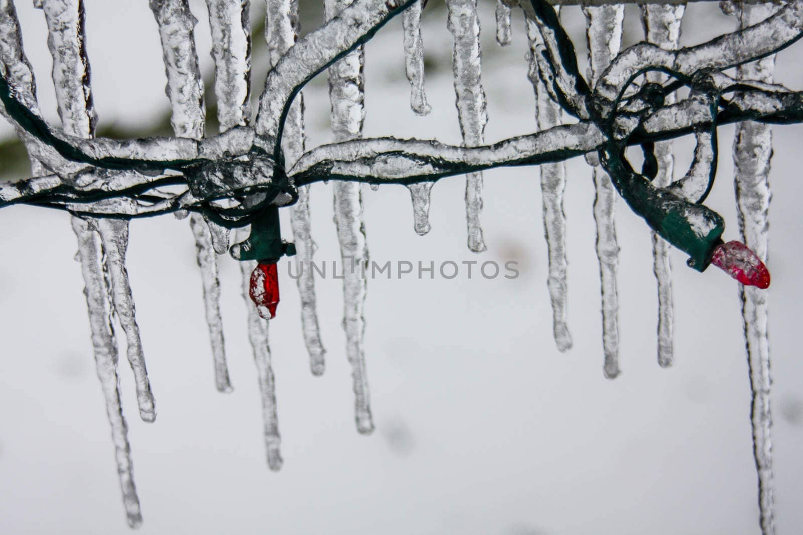 Icicles hanging from Christmas lights