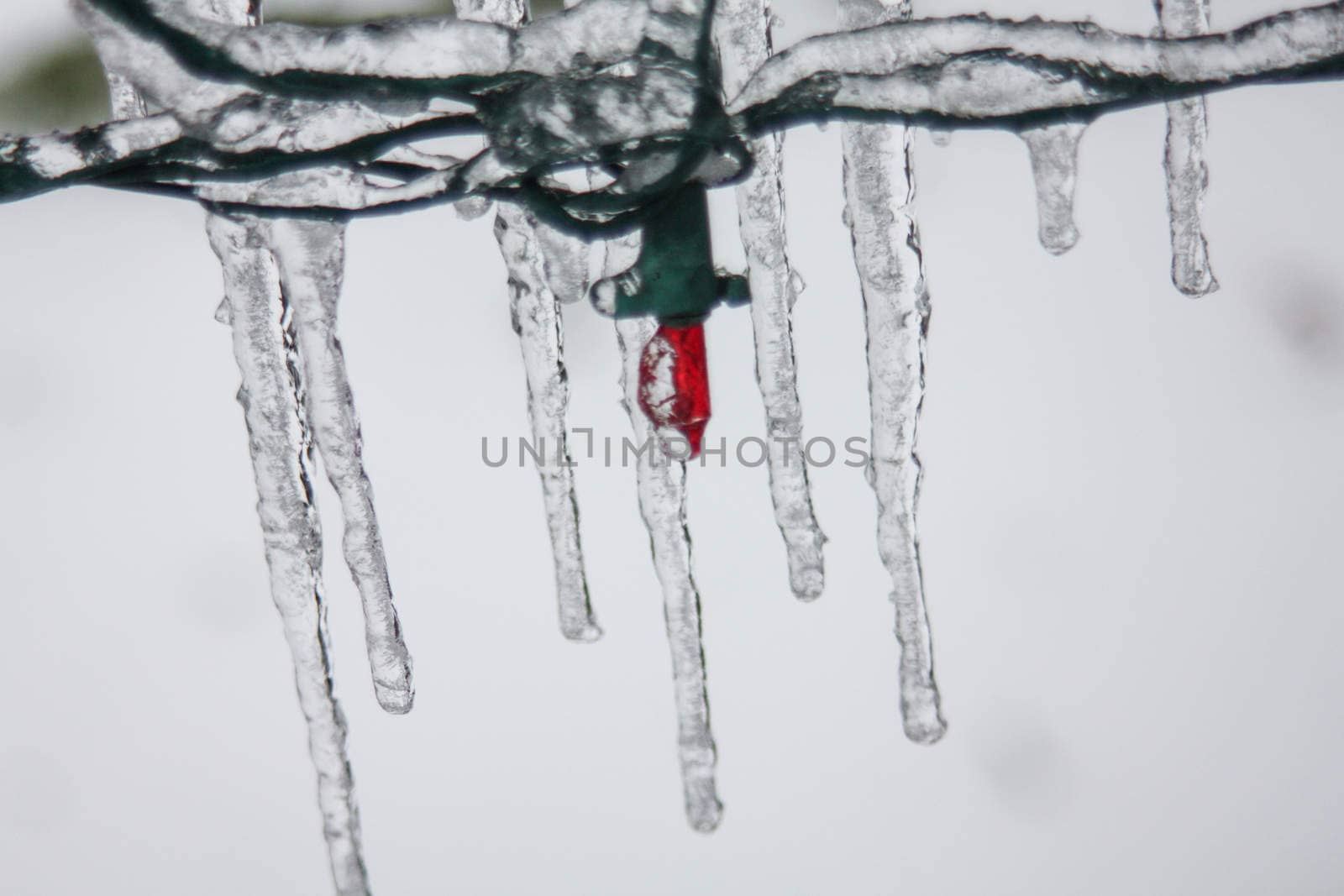 Icicles hanging from Christmas lights by johnborda