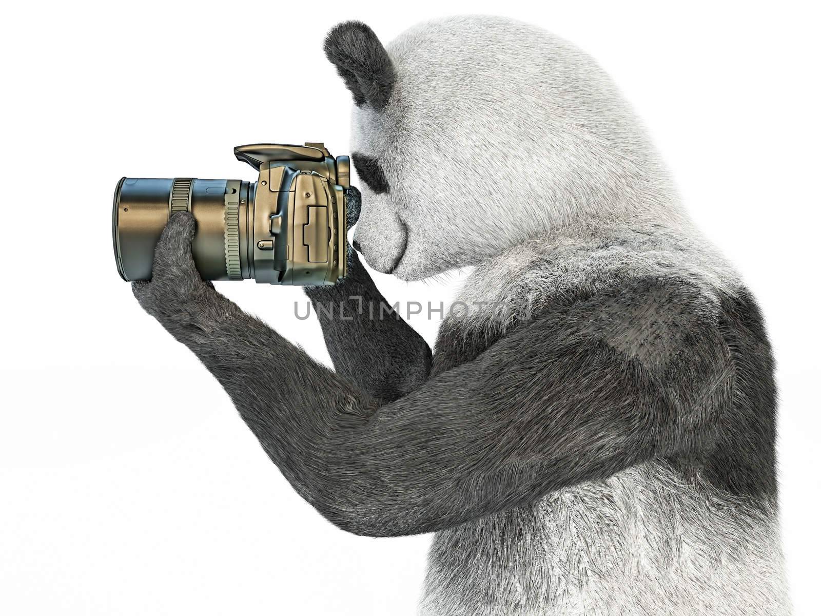 panda animal with camera in his paws close-up. Teddy bear profile side isolated on white background. Adult amateur photographer beast cg render computer generated digital picture buy online