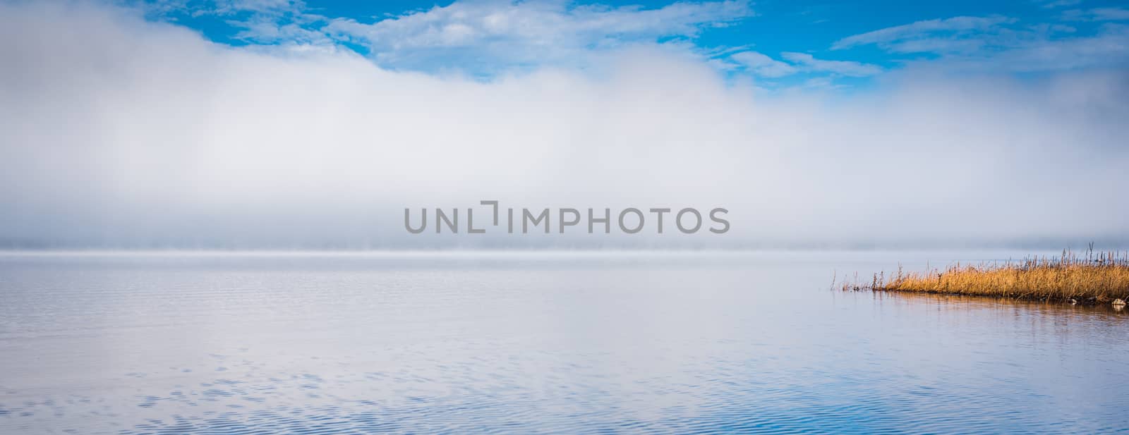 Fog rising from blue - Receding fog line on the Ottawa River - horizontal divide of two environments - air and water creates a visual spectacle.