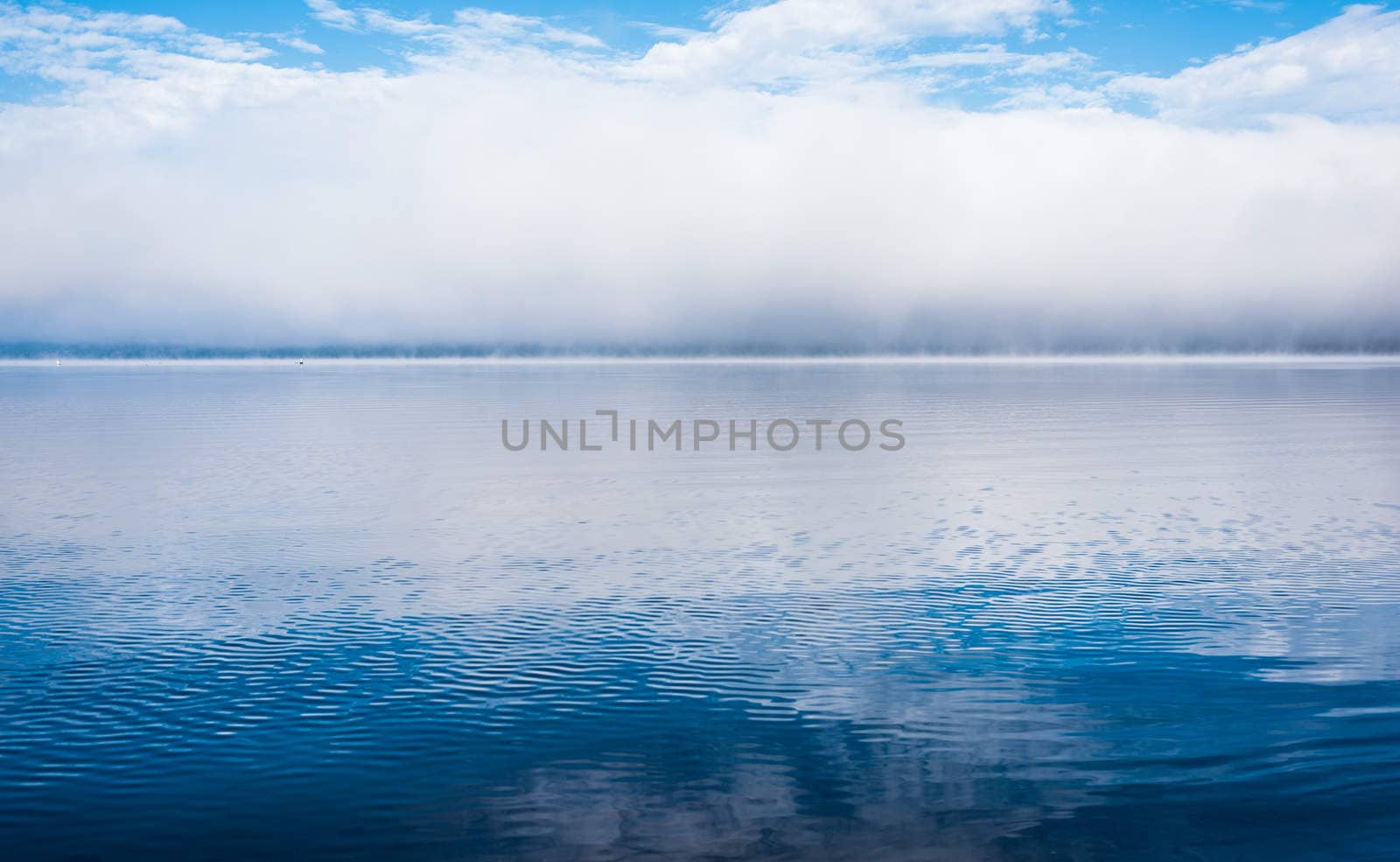 Fog rising from blue - Receding fog line on the Ottawa River - horizontal divide of two environments - air and water creates a visual spectacle.
