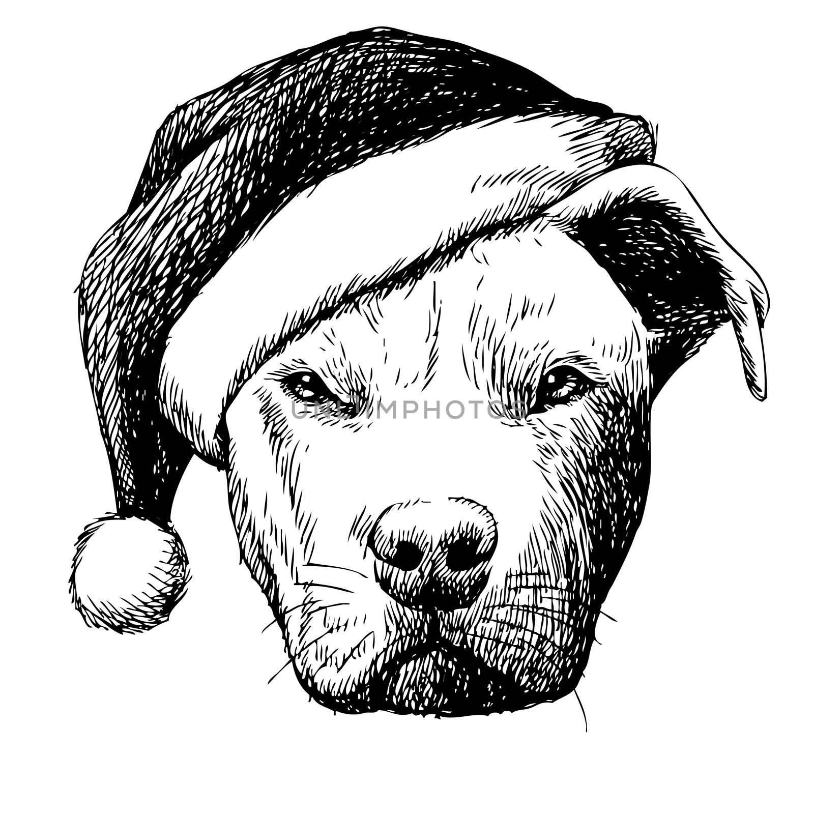 freehand sketch illustration of pitbull dog with christmas santa hat, doodle hand drawn