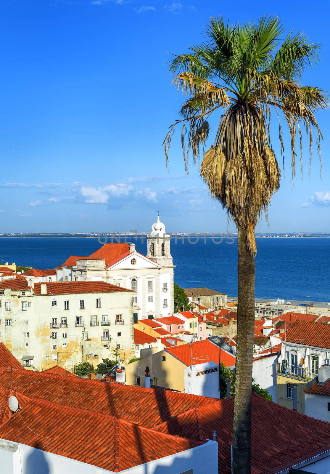 View over roofs of Alfama, the old quarter of Lisbon, Portugal