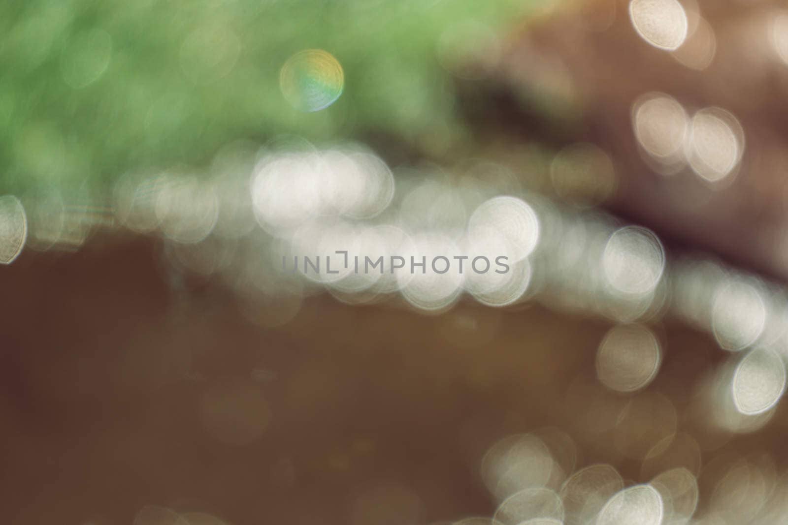 abstract natural blur background, defocused leaves, bokeh by teerawit