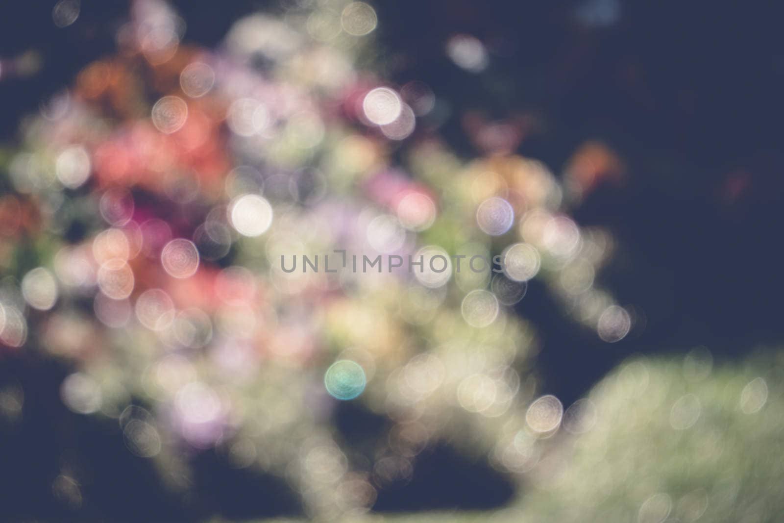 abstract natural blur background, defocused leaves, bokeh, nature background