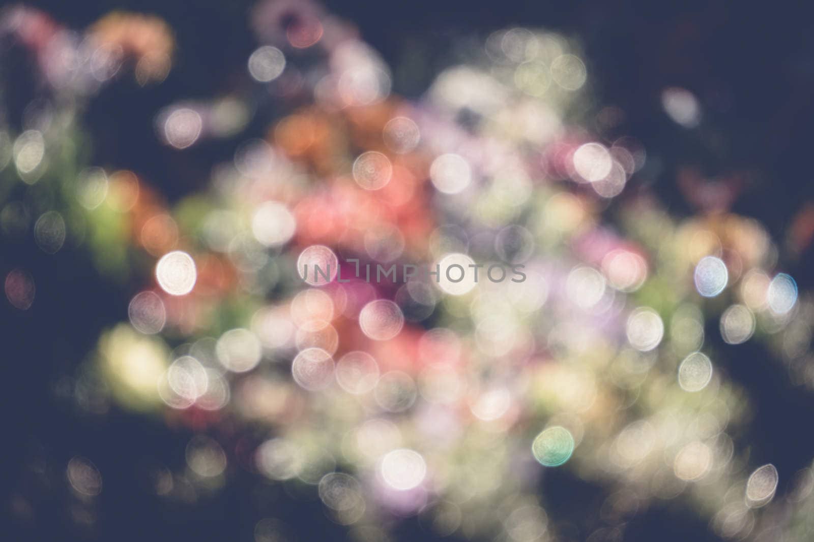 abstract natural blur background, defocused leaves, bokeh, nature background