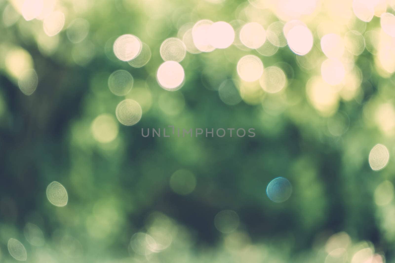 abstract natural blur background, defocused leaves, bokeh by teerawit