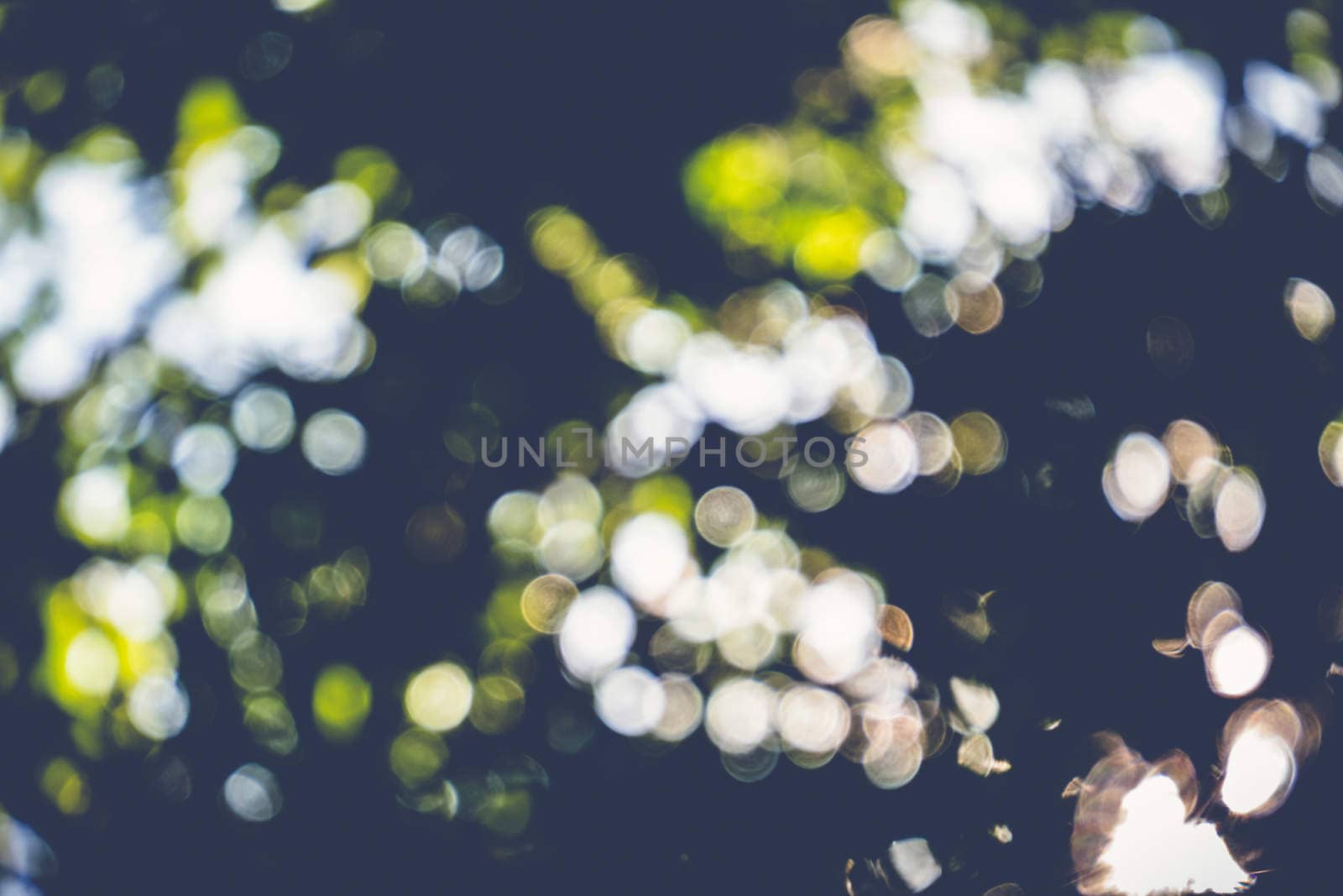 abstract natural blur background, defocused leaves, bokeh, nature background