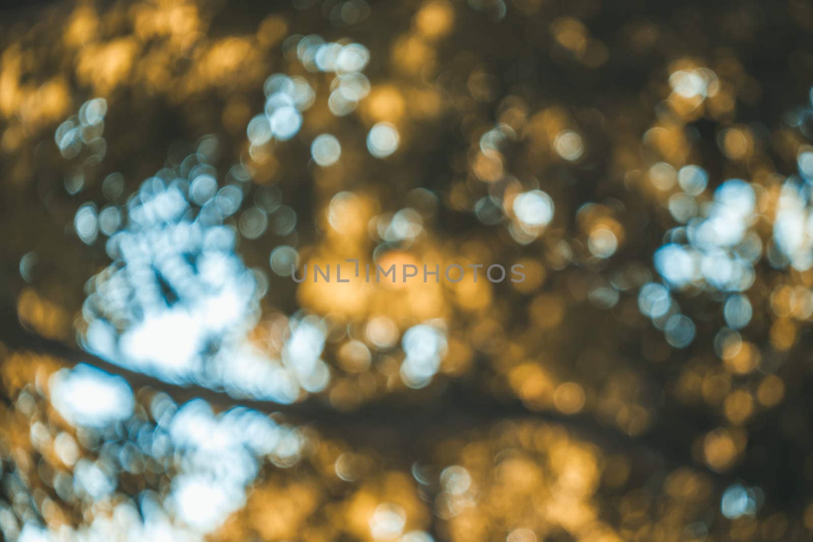 abstract natural blur background, defocused leaves, bokeh, nature background