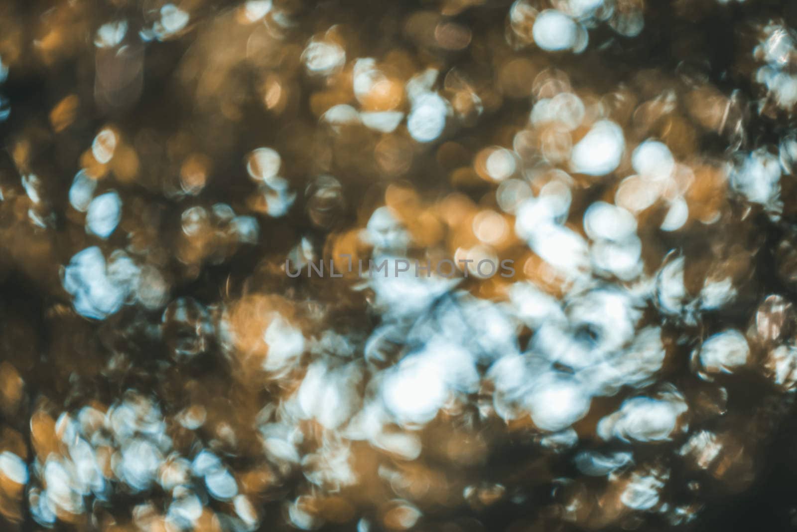 abstract natural blur background, defocused leaves, bokeh by teerawit