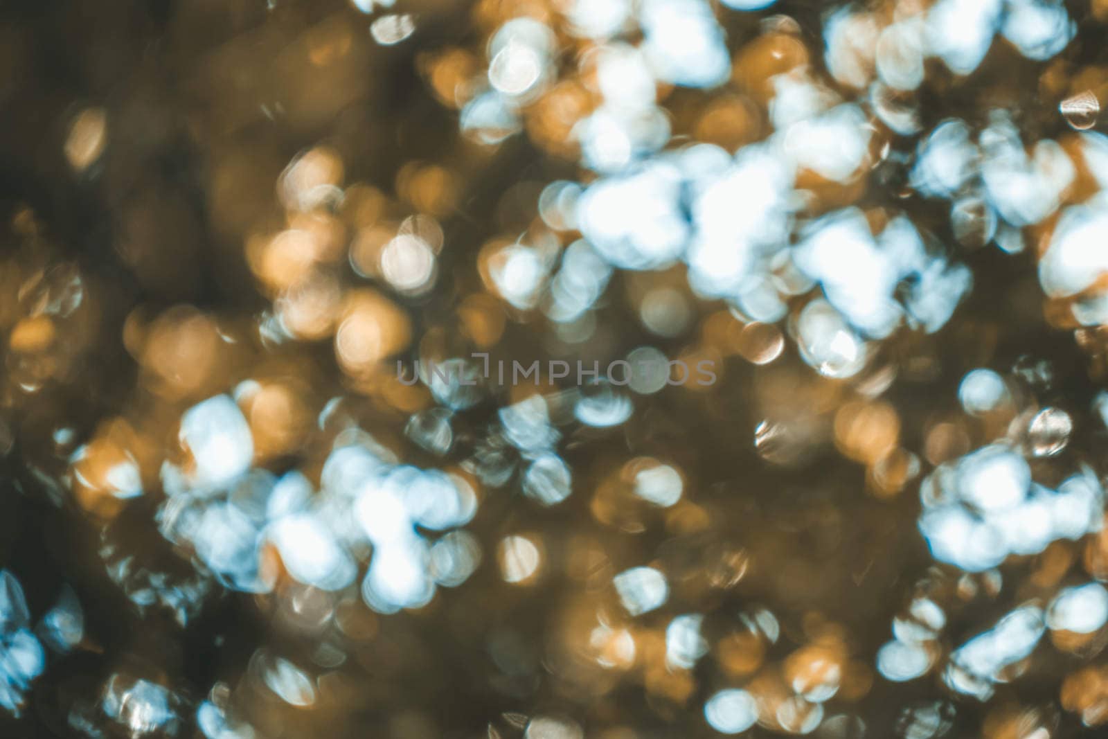 abstract natural blur background, defocused leaves, bokeh, nature background