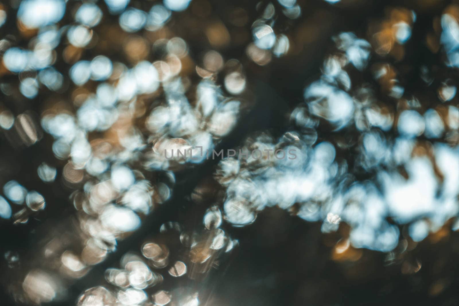 abstract natural blur background, defocused leaves, bokeh by teerawit