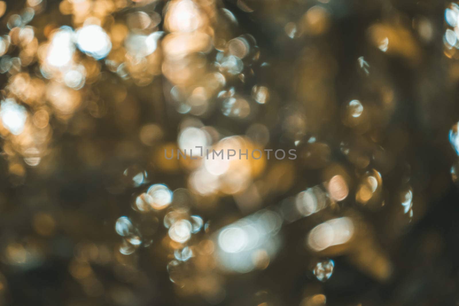 abstract natural blur background, defocused leaves, bokeh, nature background