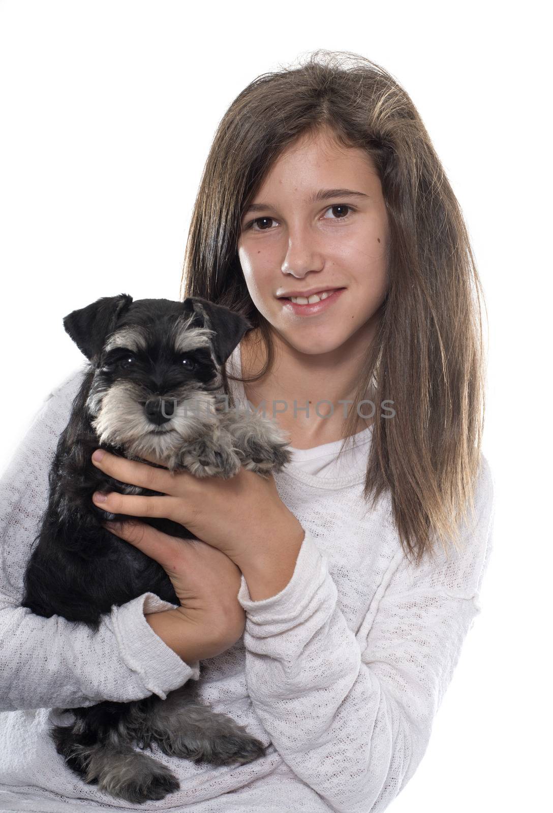puppy miniature schnauzer and teenager by cynoclub