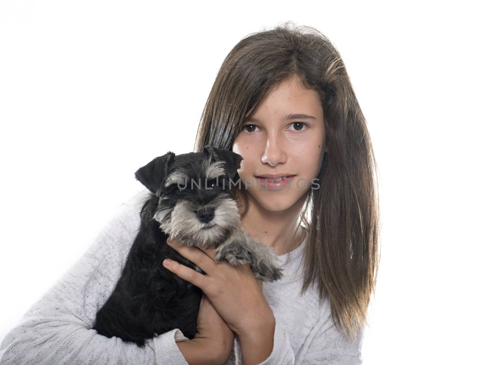 puppy miniature schnauzer and teenager by cynoclub