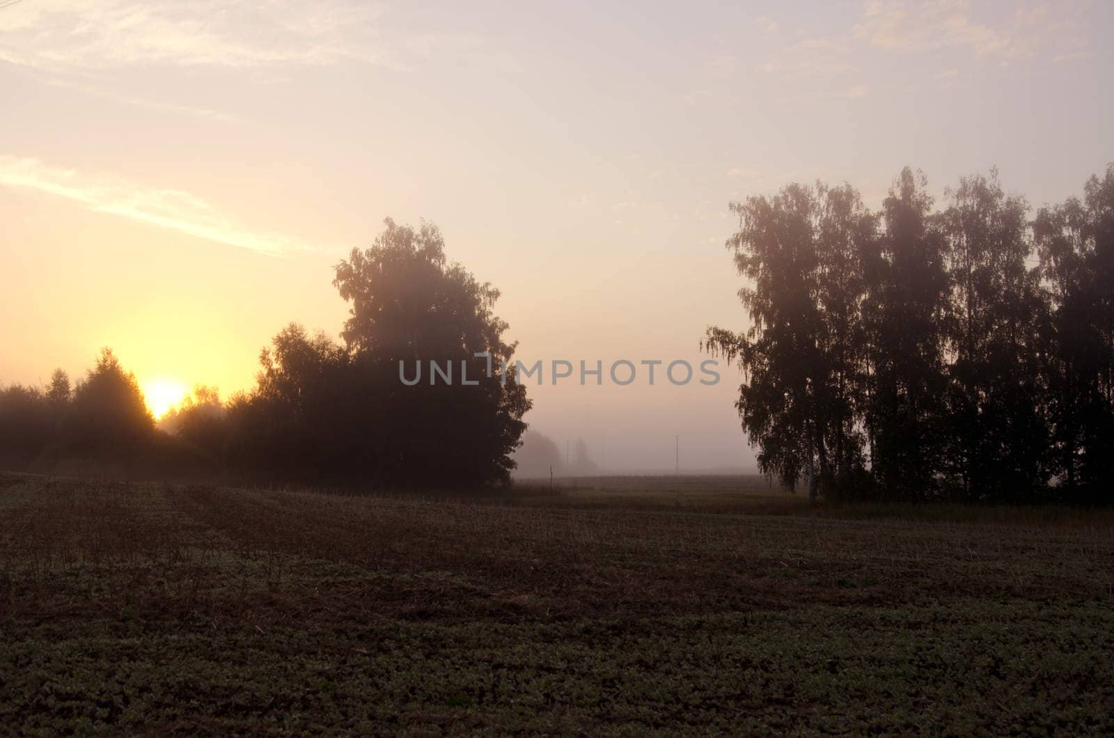 Sun rising through the fog on rural landscape with an in early morning
