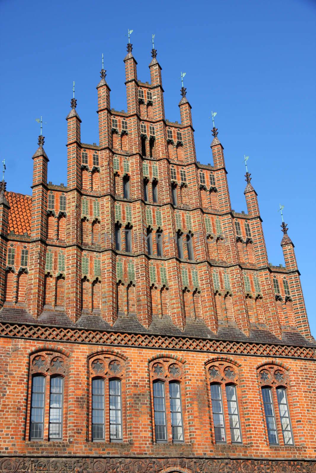 Old Town Hall (Altes Rathaus) in Hannover, Germany by vladacanon