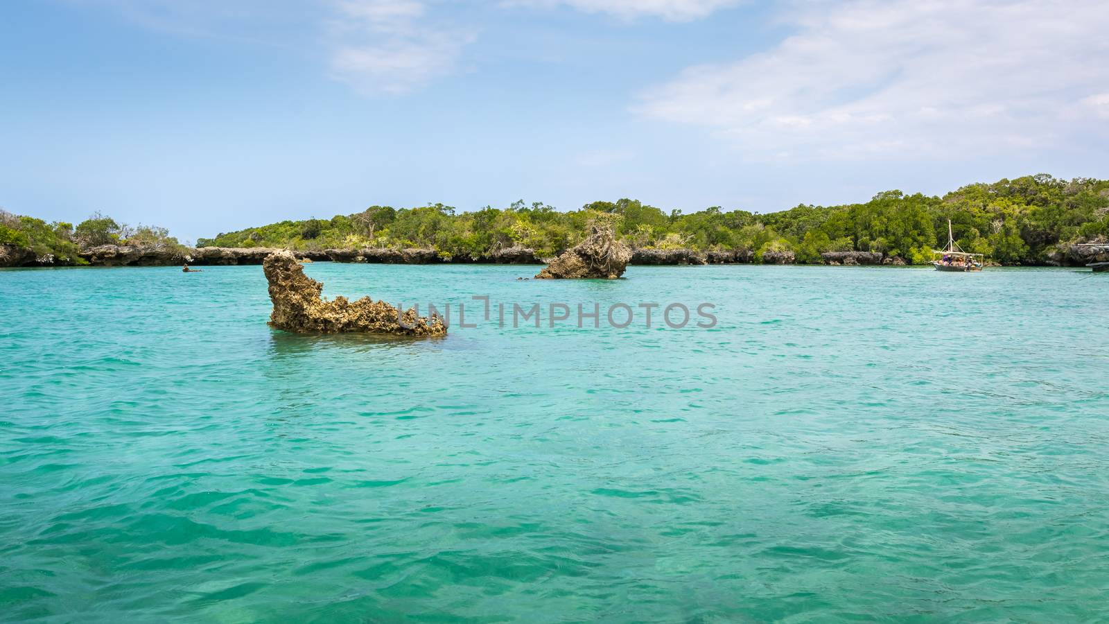 Seascape with background mangrove trees and tourist boat on the tropical coast of Zanzibar island.