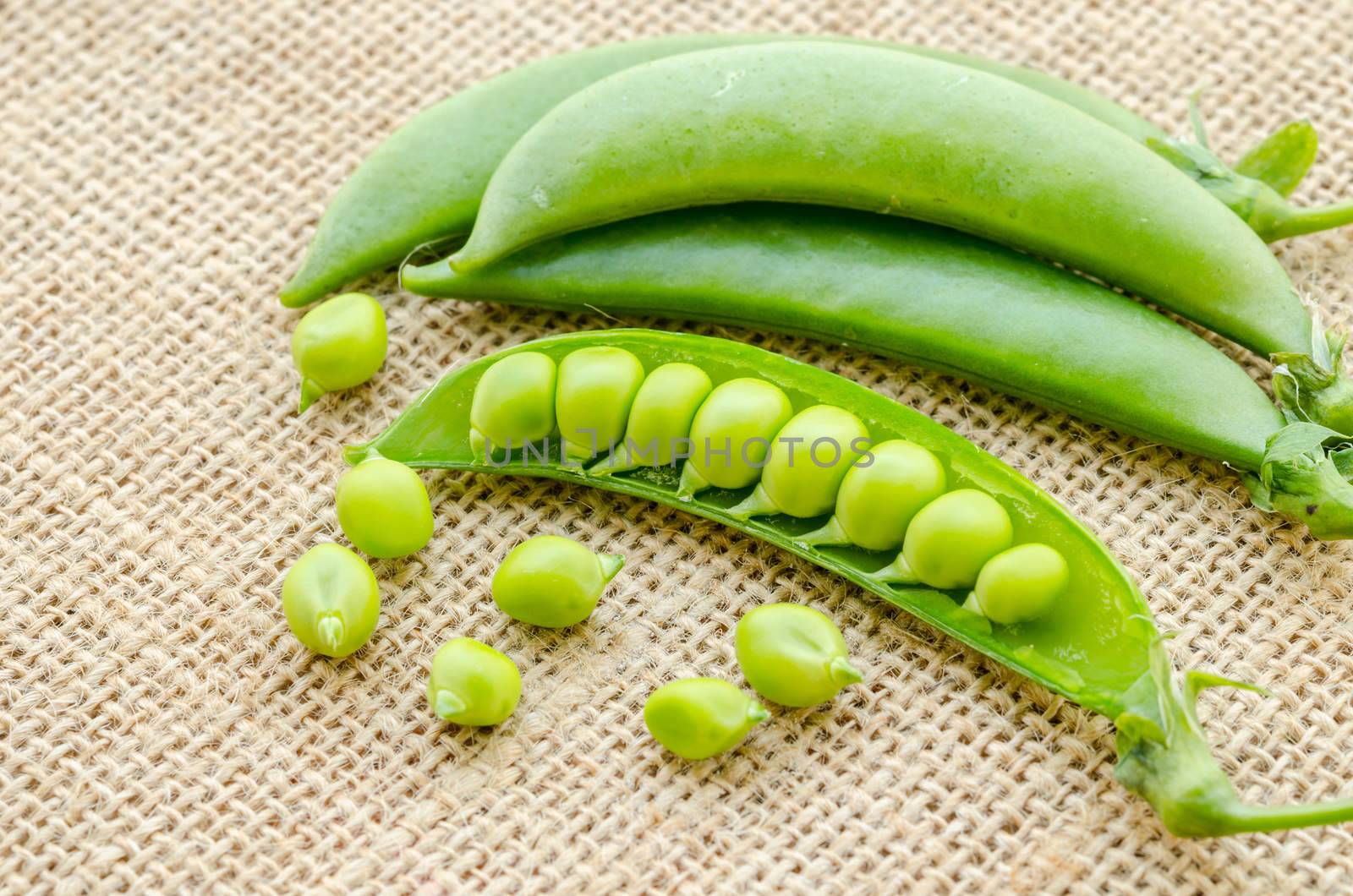 Fresh green peas pods on sack background.
