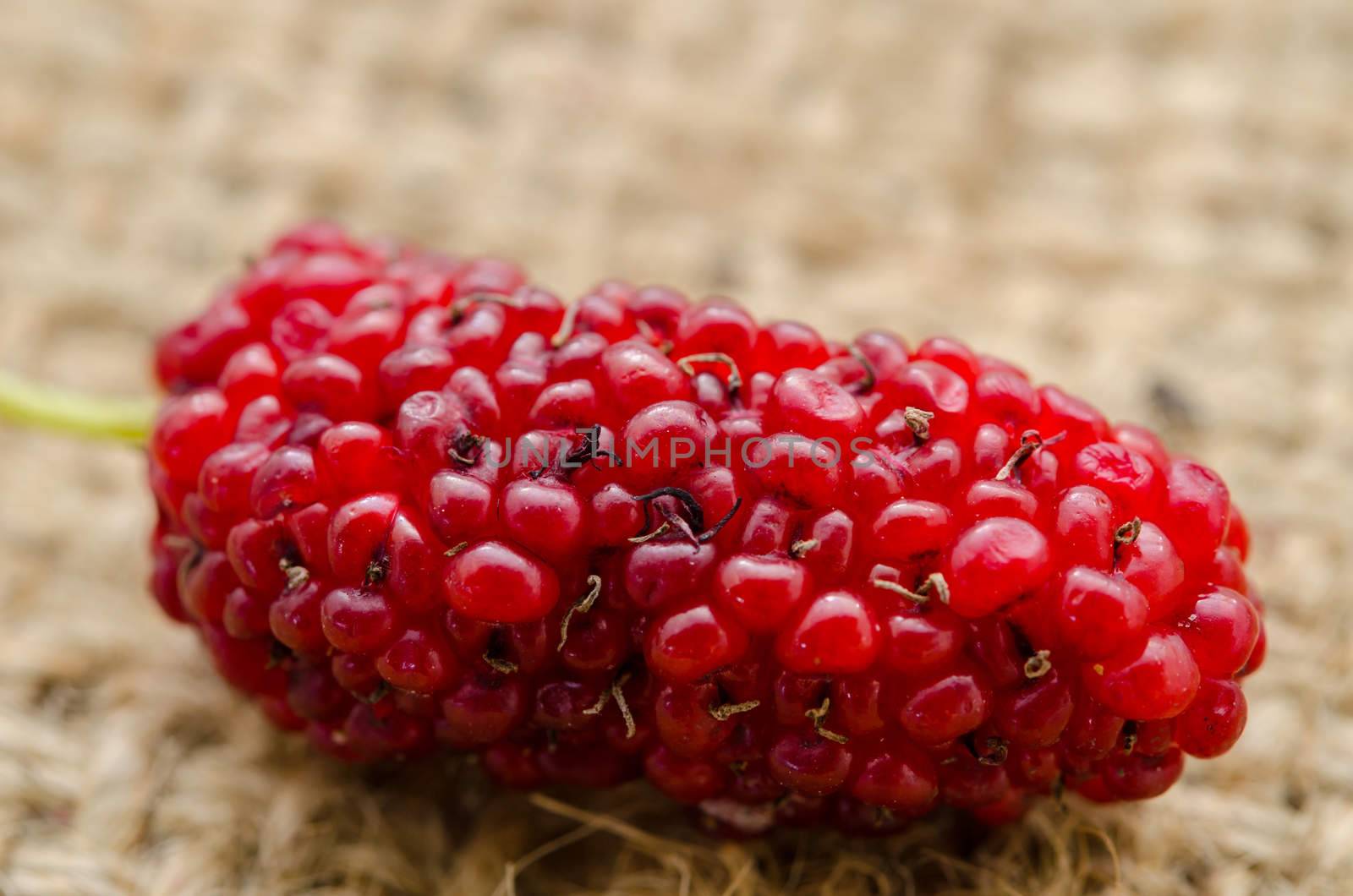 Red mulberry. by Gamjai