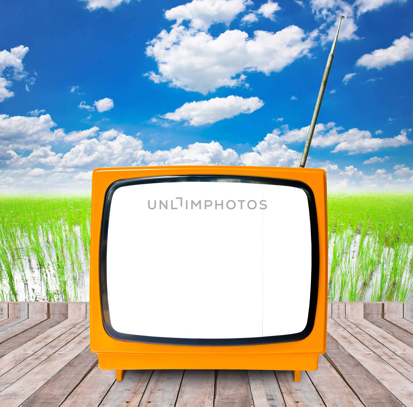 Photo of an old retro TV outdoors on wooden with blue sky and white clouds in the background.