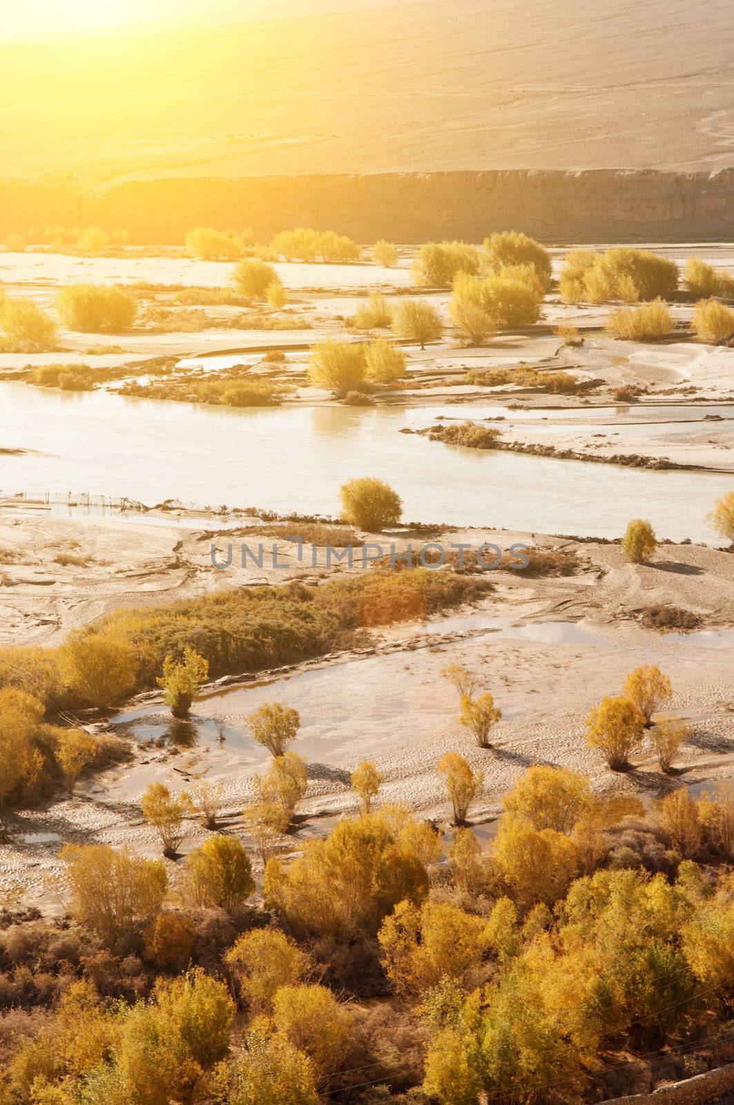 Indus River in sunrise view during falls season, Leh, Ladakh, Jammu and Kashmir, North India