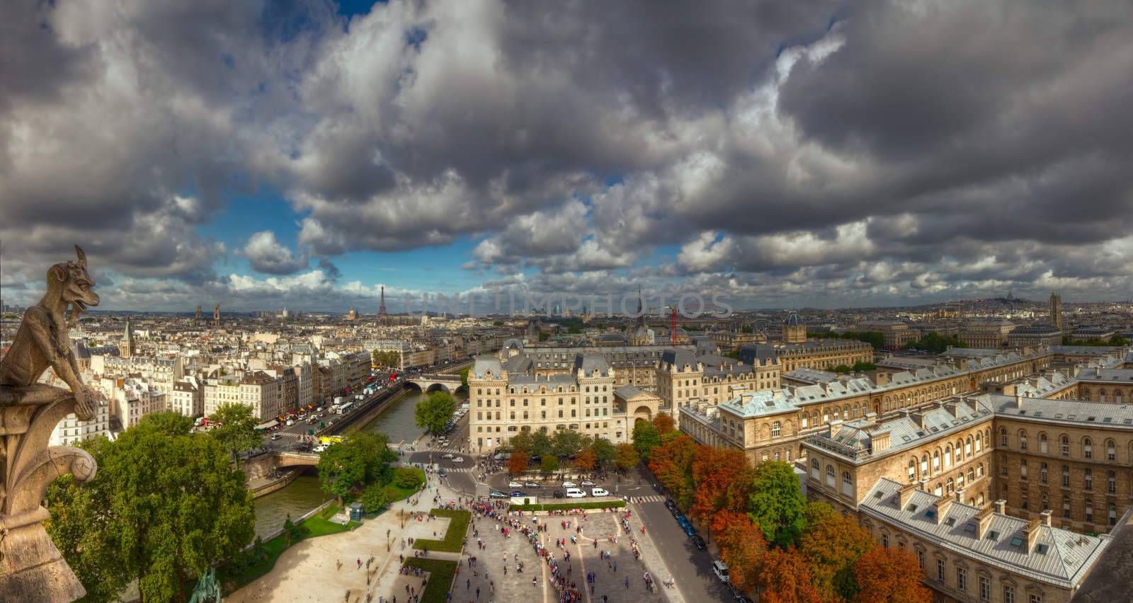 Picturesque view of Paris cityscape from the towers of Notre Dame cathedral