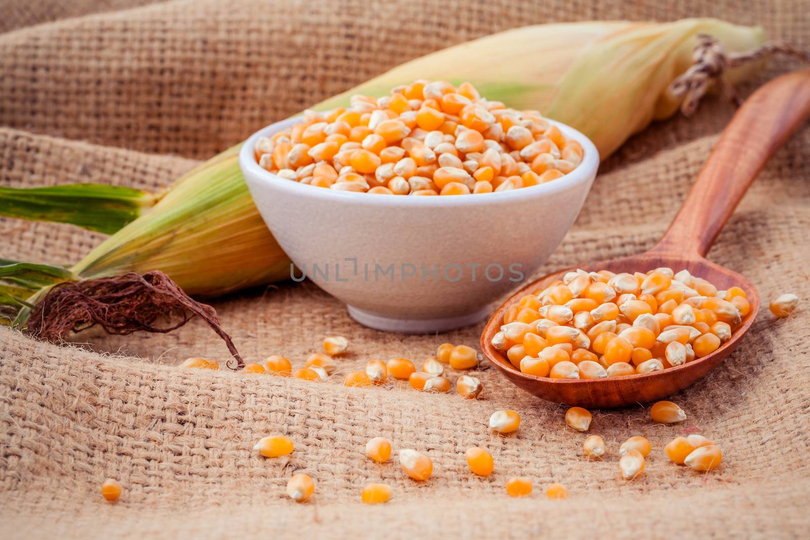 Grains of ripe corn in the bowl and spoon with fresh sweet corn  by kerdkanno