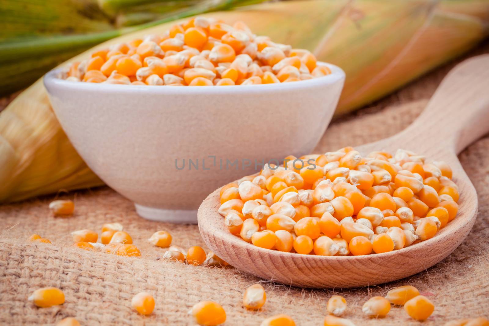 Grains of ripe corn in the bowl and spoon with fresh sweet corn  by kerdkanno