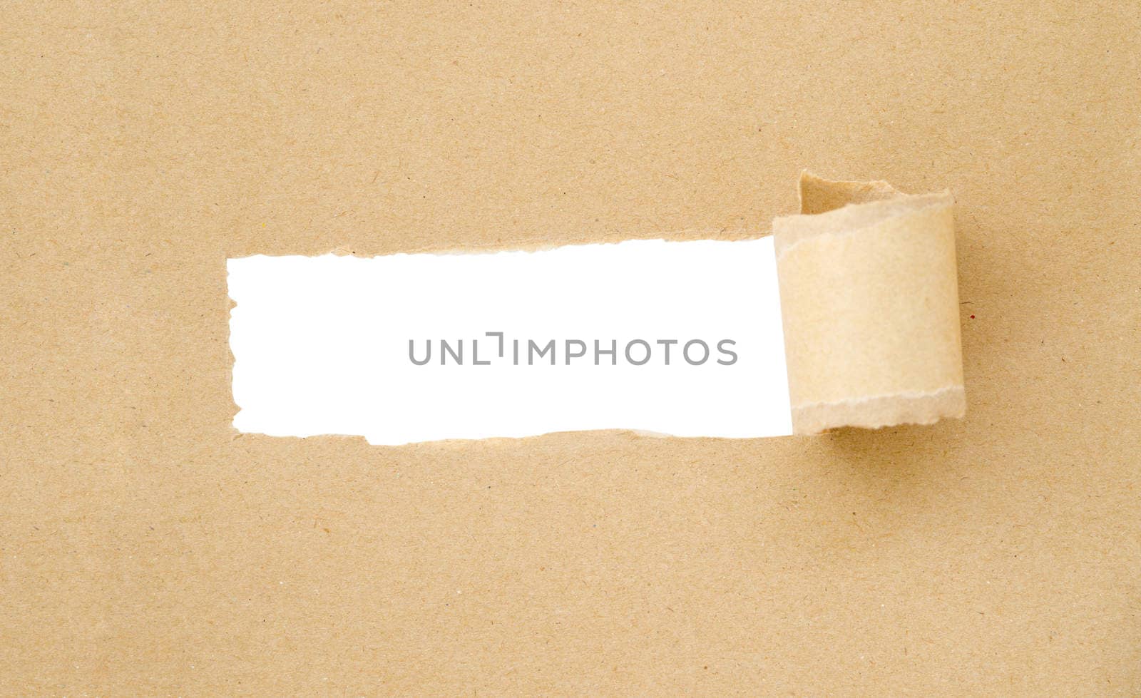 Brown Torn Paper with space for text with white background save clipping path.