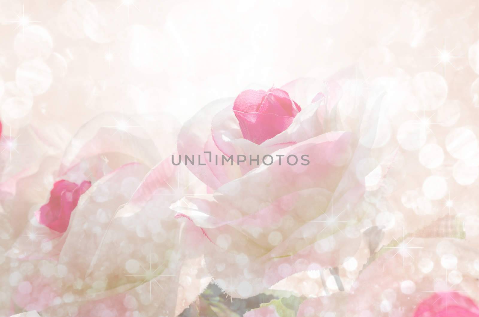 Beautiful roses with bokeh surrounded. Made with color filters for use background.