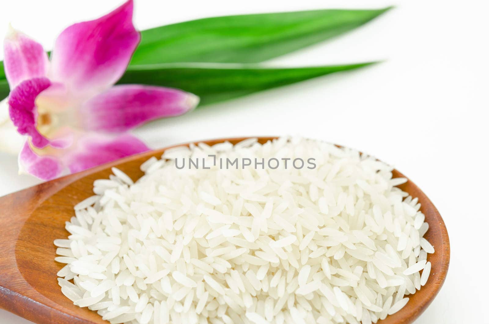Raw rice jasmine in wooden spoon and violet orchid on white background.