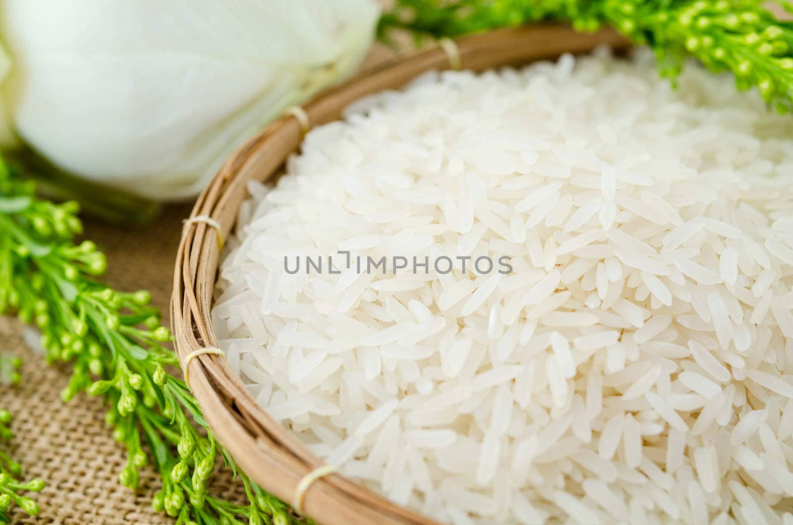 raw rice jasmine by Gamjai