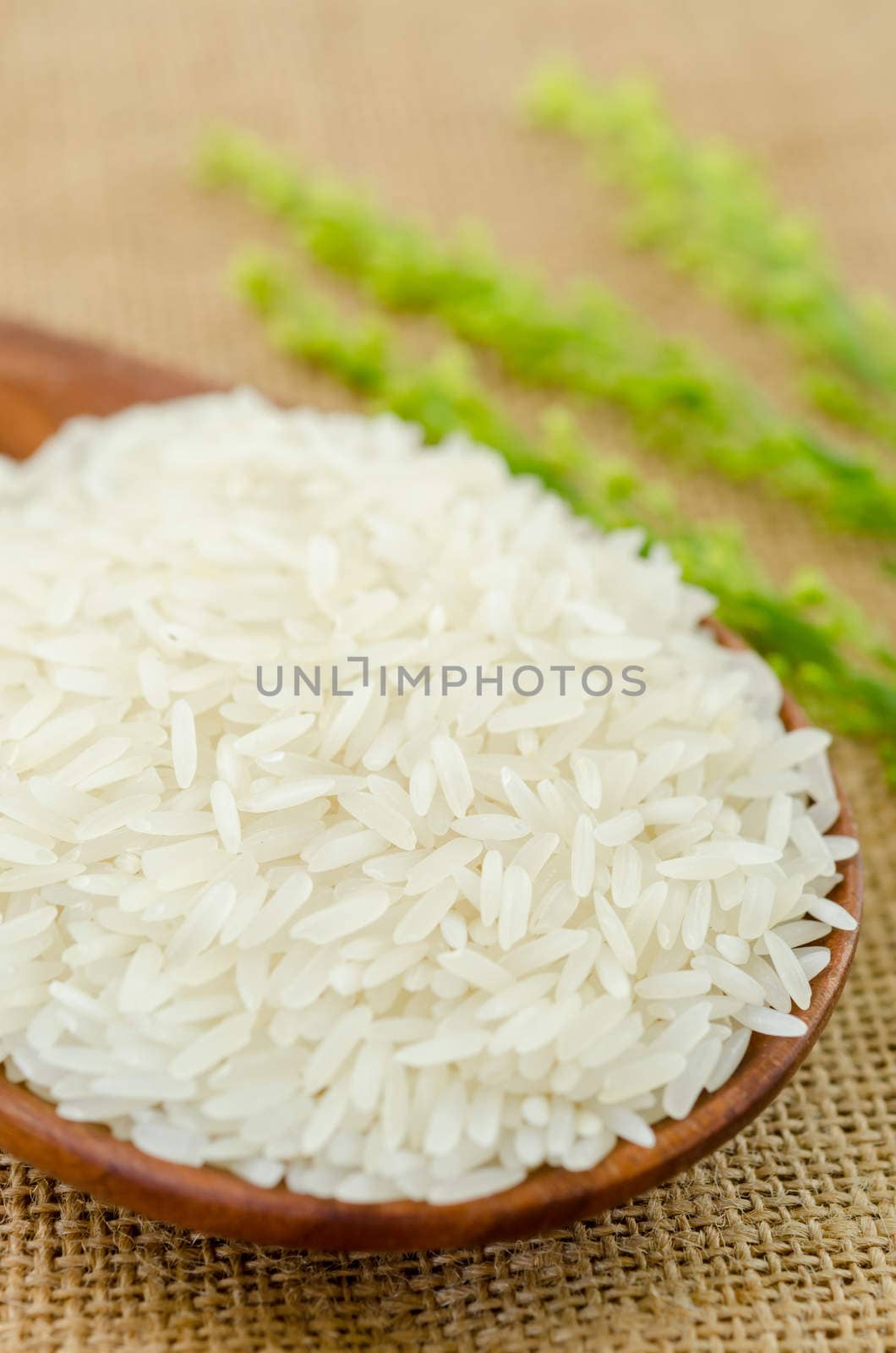 Wooden spoon with raw rice jasmine on sack background.