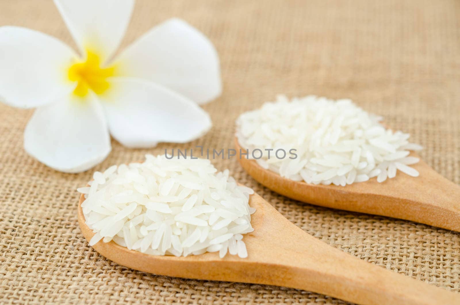 white rice grains in wooden spoon with white flower on sack background.