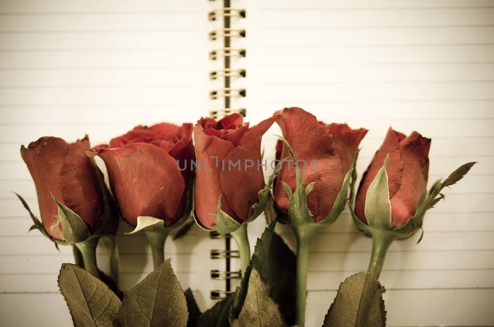 Vintage style - Red rose flower and open Notepad book.