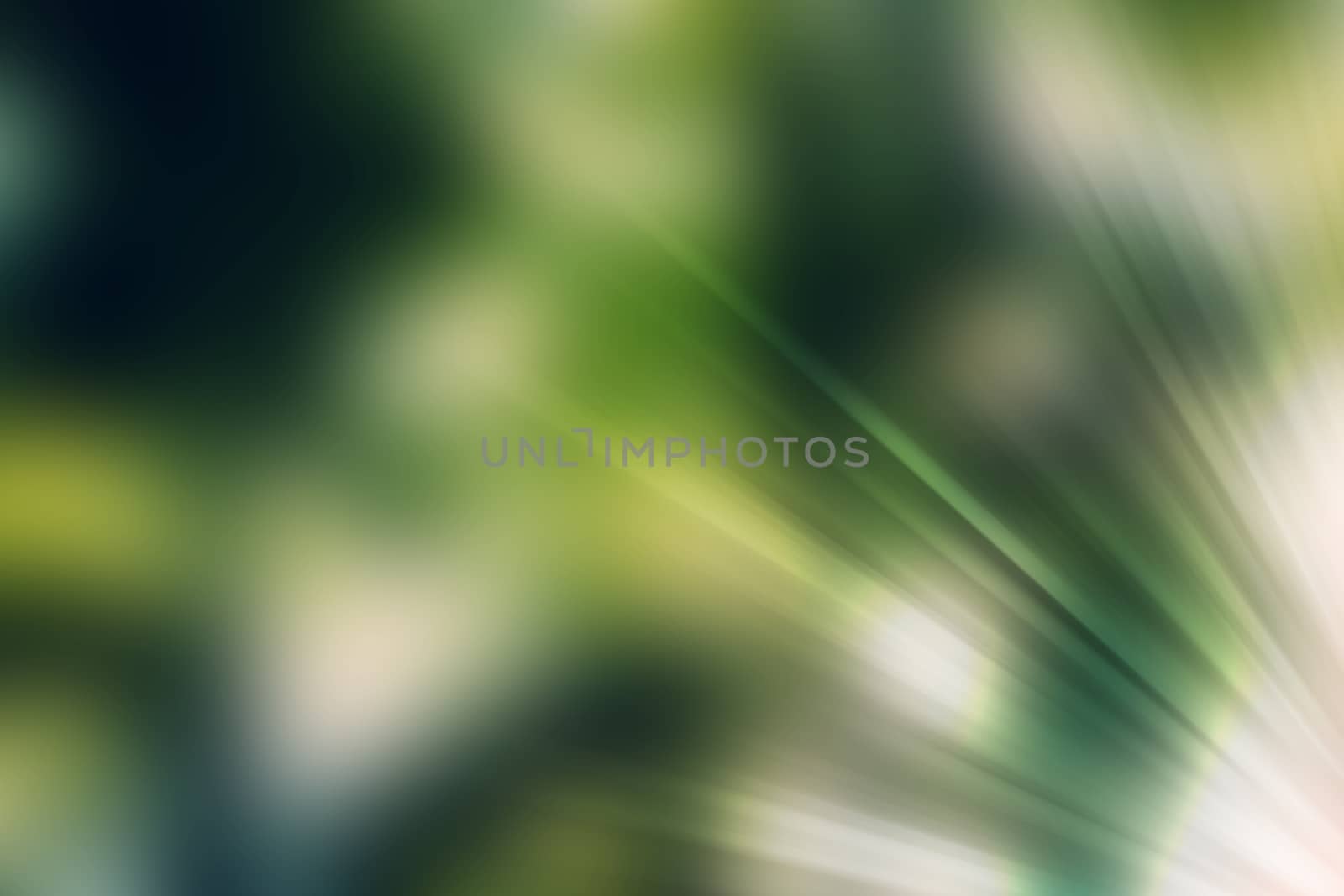 abstract natural blur background, defocused leaves, bokeh, nature background