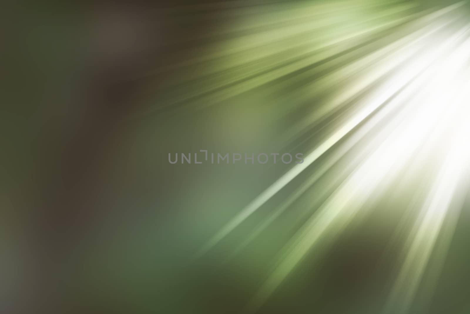 abstract natural blur background, defocused leaves, bokeh, nature background