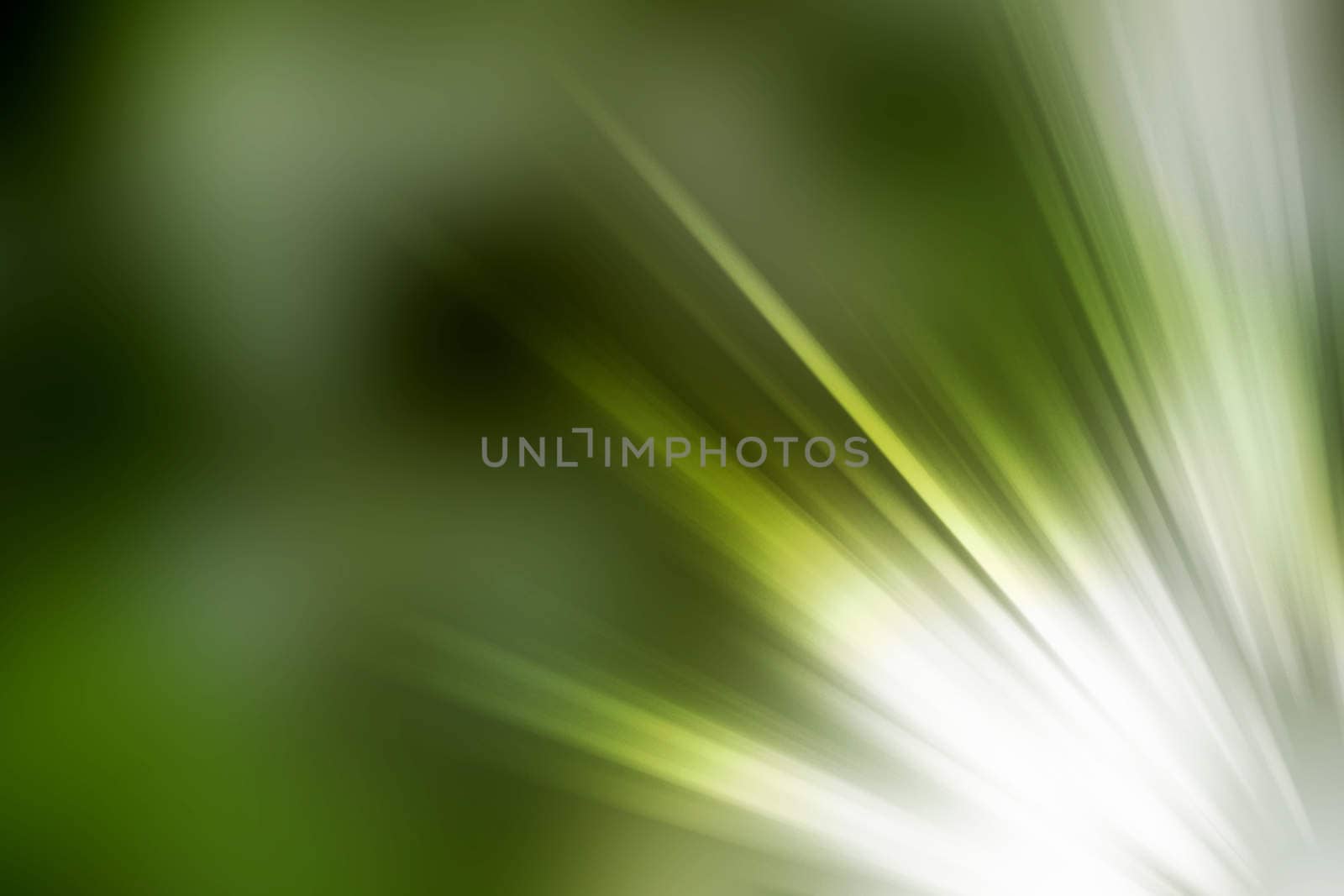 abstract natural blur background, defocused leaves, bokeh, nature background