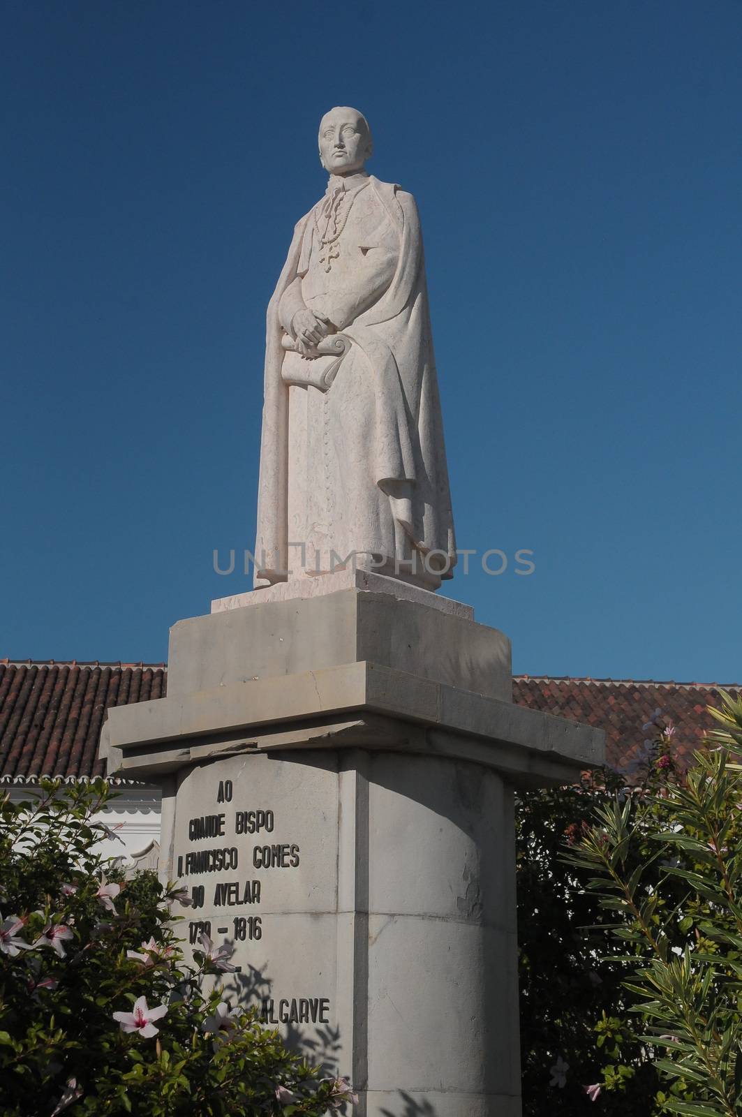 Statue of Dom Francisco Gomes