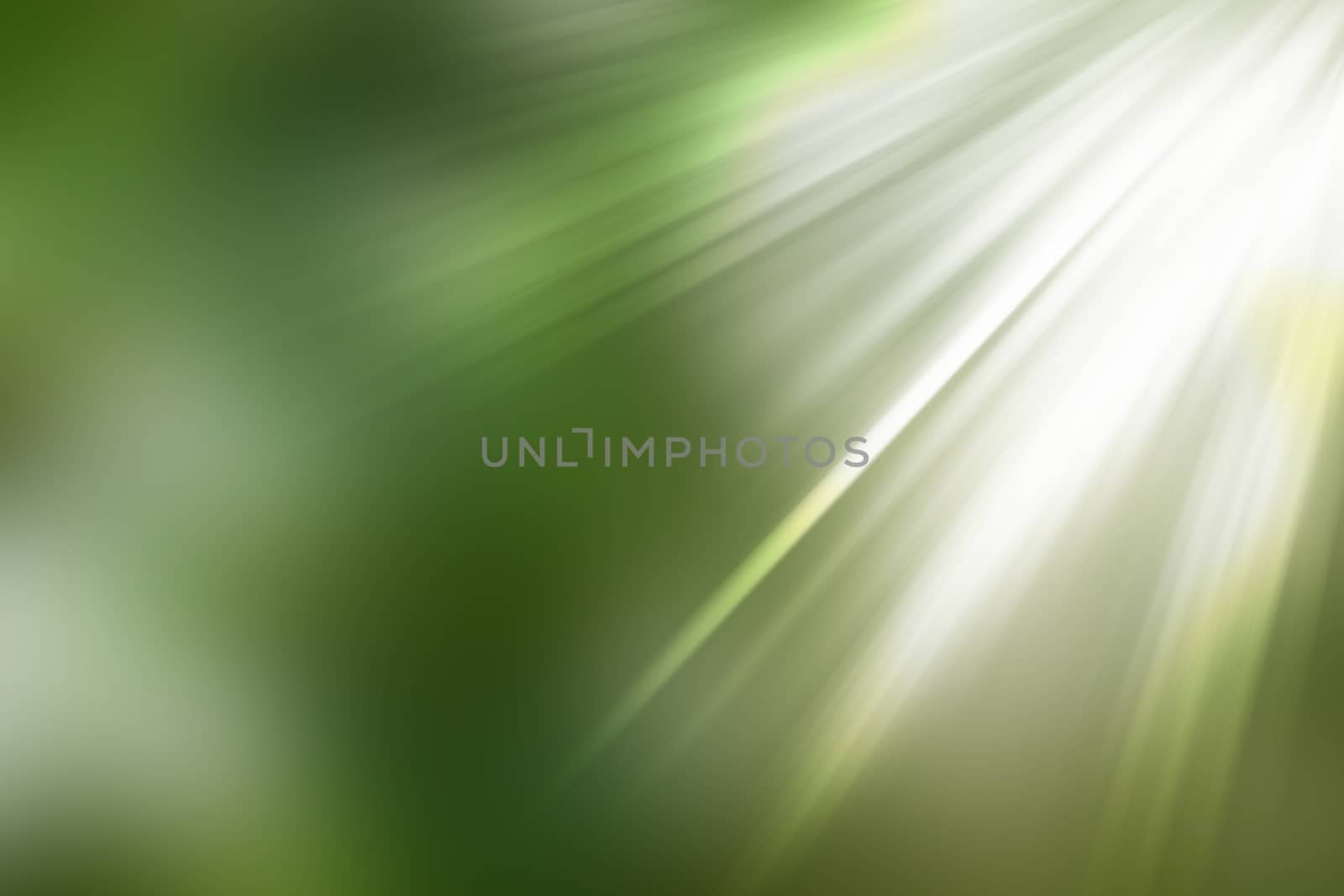abstract natural blur background, defocused leaves, bokeh, nature background
