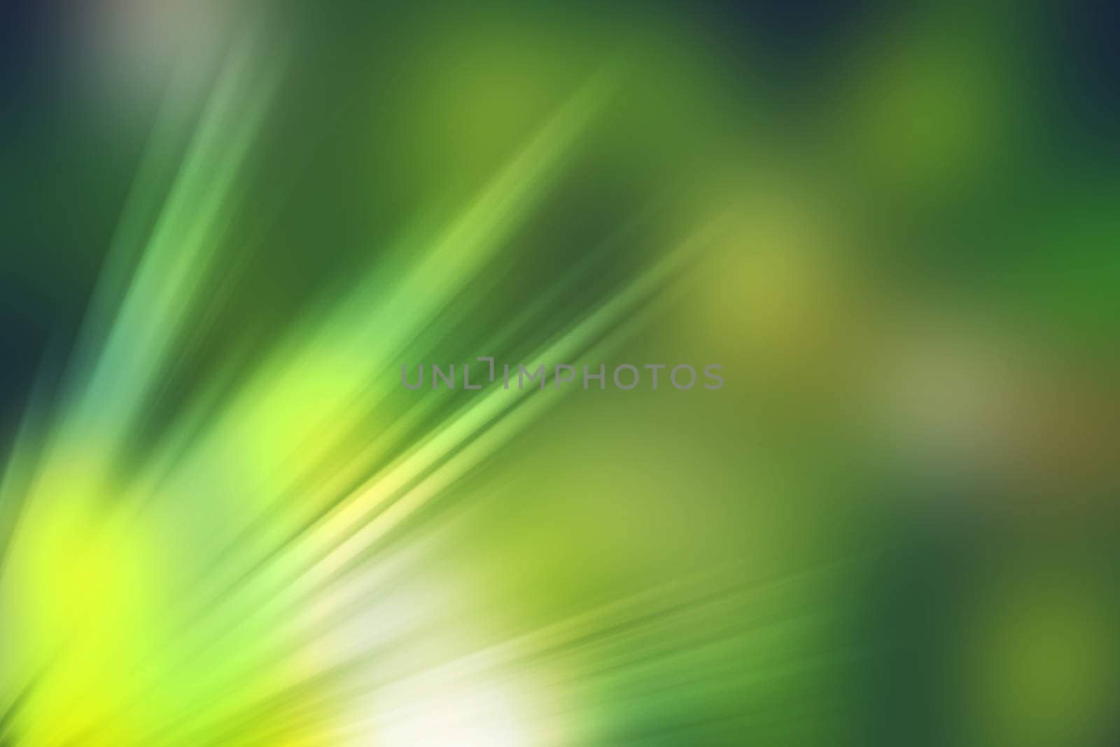 abstract natural blur background, defocused leaves, bokeh, nature background