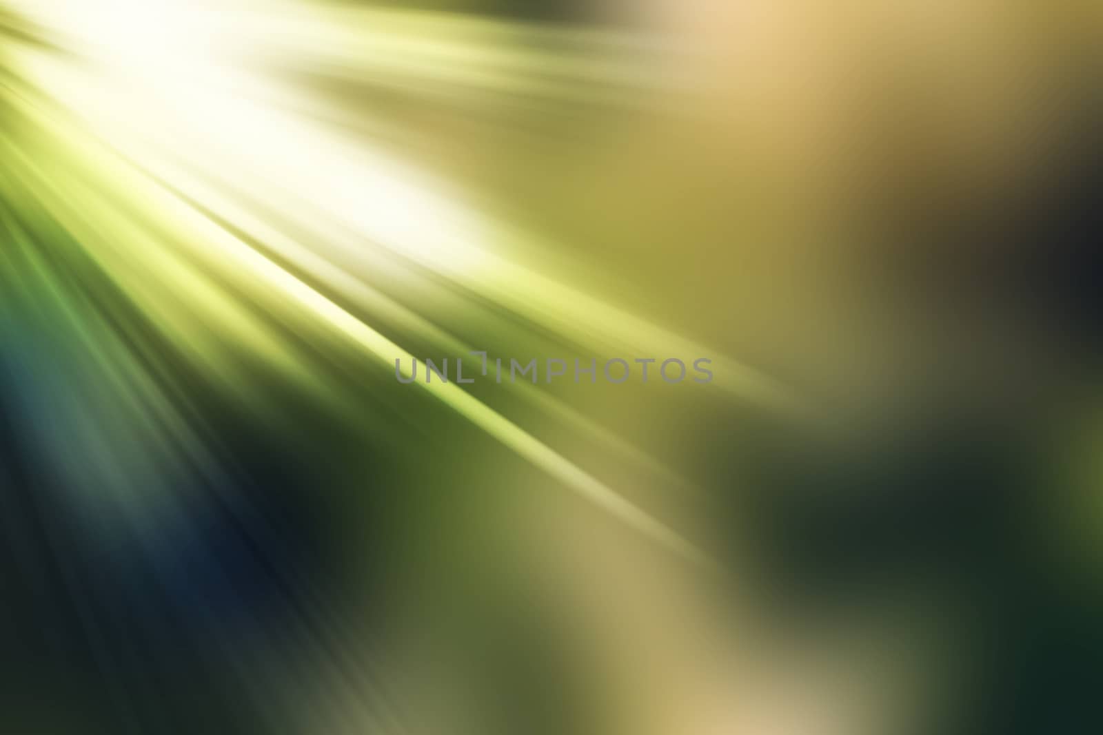 abstract natural blur background, defocused leaves, bokeh, nature background