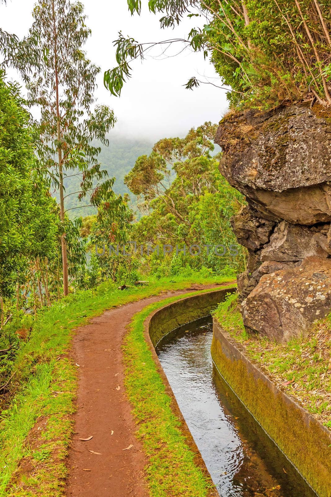 Madeira, hiking along irrigation channel (Levada)