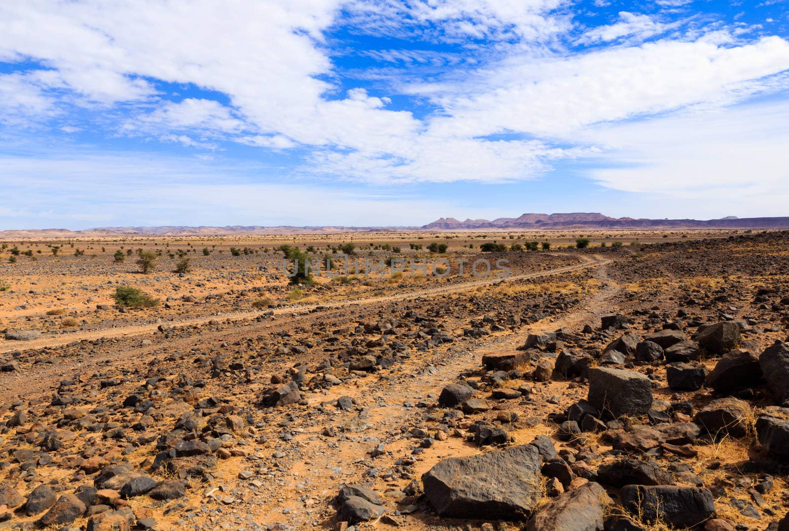 stones in the Sahara desert by Mieszko9