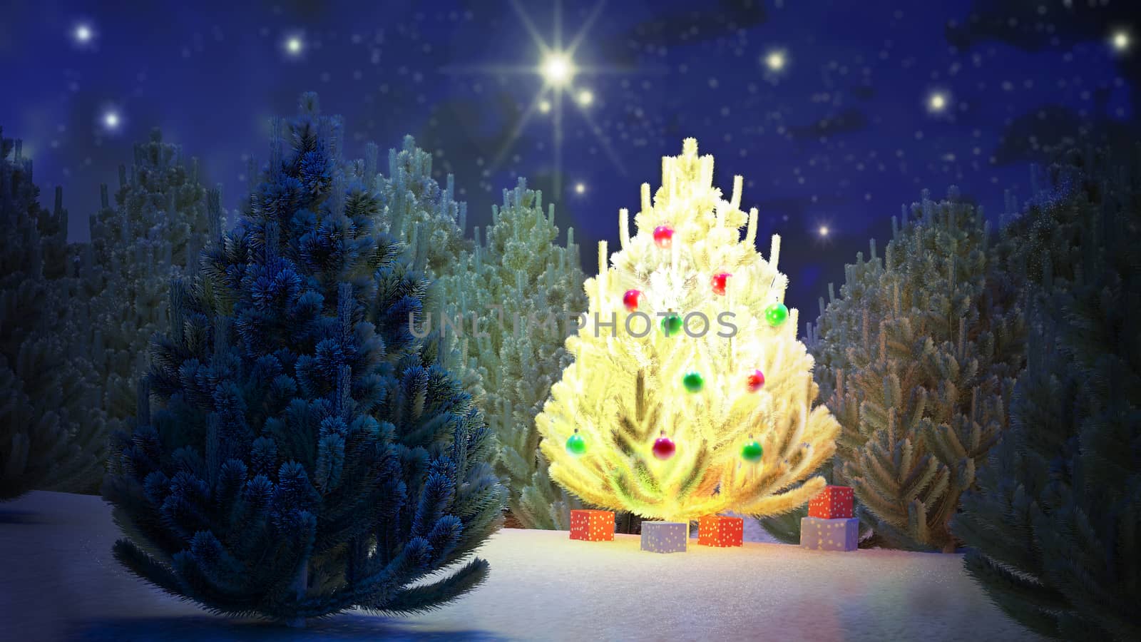 Illustration of a Christmas tree in the middle of a pine forest during the night. The stars sparkle. Calm and quiet landscape.
