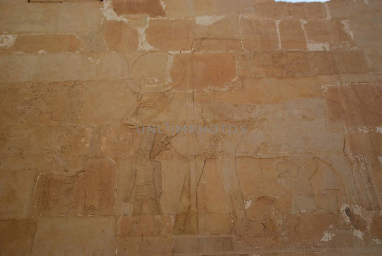 Relief depicting the Goddess Hatshepsut Temple of Hatshepsut at Theban necropolis, Luxor neighborhood, Egypt. The images on the walls of the Temple of Hatshepsut