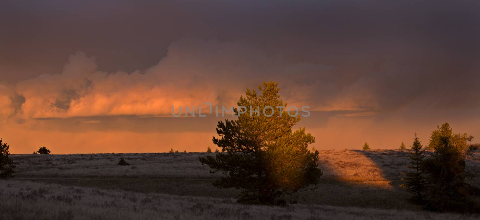 Cypress Hills Sunset by pictureguy