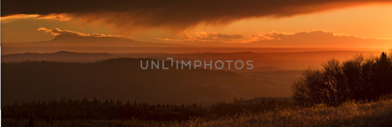 Cypress Hills Sunset by pictureguy